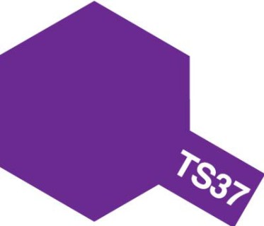 TS-37